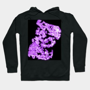 Purple crystal neon Hoodie